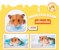 Hamster Bear đốm nâu