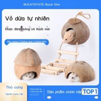 Hamster gáo dừa làm tổ nơi trú ẩn giải nhiệt mùa hè dừa cảnh quan cung cấp nhà gấu vàng biệt thự cành hoa tổ chuột