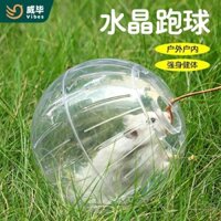 Hamster Pha Lê Chạy Bóng Chạy Bánh Xe Con Lăn Gấu Vàng Sóc Mật Ong Glider Trong Suốt Takeaway Thể Thao Bóng Đi Bộ Chuột Dụng Cụ Tiện Dụng