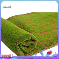 Han _ Cỏ nhân tạo Cỏ rêu nhân tạo tự nhiên đẹp có thể gập lại cho phòng khách