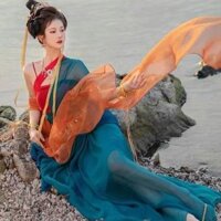 Hanfu Ruy Băng Gạo Màu Trơn Bên Ngoài Phù Hợp Với Nữ 5 Áo Lụa Phong Cách Cổ Vũ Đường Phong Cách Gạo Siêu Dài Đơn Mảnh Streamer Phù Hợp Với 4 Áo Choàng S