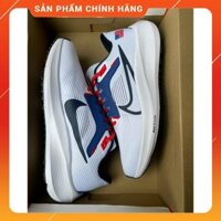 Hàng Auth Giày Thể Thao Nike Pegasus 40 Màu trắng/ Xanh Full Box