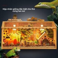 [Hàng bán chạy] Hộp nuôi rắn, ragon, tắc kè, ếch sừng, tắc kè, thằn lằn, hộp điều nhiệt cảnh quan, máy ấp trứng rắn nhím