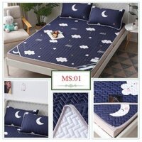 [HÀNG CAO CẤP] Chiếu Điều Hòa Làm Mát TENCEL - Ga Nệm Điều Hòa Tặng 2 Gối 47x70cm