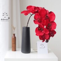 [Hàng Cao Cấp] Hoa Lan Hồ Điệp+Tặng Kèm Sỏi Trắng, Hoa Lụa Decor Cao Cấp, Cành 95cm, 1Cành Gồm 10 Bông Lớn