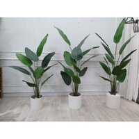 [Hàng cao cấp loại 1]Cây chuối cảnh giả trang trí nhà cửa 1m6- Hằng decor