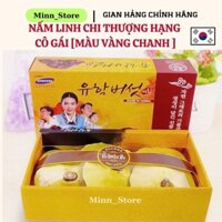 [HÀNG CAO CẤP] Nấm Linh Chi Vàng Chanh Quà Tặng Cao Cấp Hàn Quốc, Ổn Định Huyết Áp & Tốt Cho Người Cao Huyết Áp /Hộp 1kg