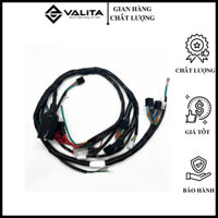 ✅[HÀNG CHẤT LƯỢNG ] BỘ DÂY ĐIỆN SƯỜN CHO XE MÁY FUTURE HÃNG