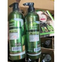 (hàng chính hãng) cặp dầu gội đầu hương bưởi