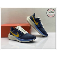 (Hàng Chính Hãng) Giày Thể Thao Nike Zoom Pegasus 39 (Tặng Vớ)