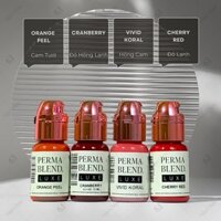 [HÀNG CHÍNH HÃNG] - Mực Perma Blend Luxe