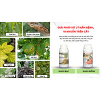 [HÀNG CHÍNH HÃNG] NANO BẠC/NANO ĐỒNG GTS XỬ LÝ NẤM BỆNH, VI KHUẨN TRÊN CÂY TRỒNG