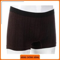 [HÀNG CHÍNH HÃNG] Sịp Aristino AD15