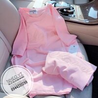 (Hàng Chuẩn)Áo Thun Nữ [CHẤT MÁT, KHÔNG XÙ] Áo Phông Nữ Hàng Quảng Châu Mới Về Siêu Đẹp Siêu