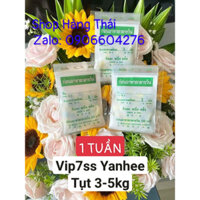 Hàng có sẵn - 1 Tuần Vip7ss Yanhee