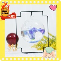 [Hàng có sẵn]  Bể cá mini để bàn hình vuông cao 26 cm mẫu 01 (Tặng combo phụ kiện trang trí đầy đủ)