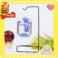 [Hàng có sẵn]  Bể cá mini để bàn giá treo phong cách cao 28 cm mẫu bình dưa (Tặng combo phụ kiện trang trí đầy đủ)