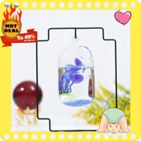 [Hàng có sẵn]  Bể cá mini để bàn giá treo hình vuông cao 26 cm mẫu 02 (Tặng combo phụ kiện trang trí đầy đủ)