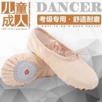 Hàng Có Sẵn Giày Múa Ba Lê Đế Phẳng Mềm Mại Màu Xanh Lá Cây Hình Chân Mèo Tập Múa Bụng Cho Bé Gái