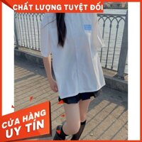 [HÀNG CÓ SẲN KÈM ẢNH THẬT] ÁO SO MI THÊU LGO SIÊU XINH CHUẨN MẨU ẢNH M889 BEBOSHOP