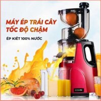 [Hàng Có Sẵn] Máy Ép Chậm Hoa Quả Hongxin RH-312, Ép Rau Củ Hoa Quả, Máy Ép Chậm Trái Cây - Bảo Hành 12 Tháng Chính Hãng