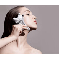 Hàng có sẵn - ReFa CAXA RAY (chính hãng)