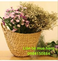 [Hàng có sẵn] Set 2c Giỏ lục bình mini