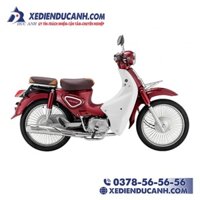 [HÀNG CÓ SẴN - XE SỐ 50CC] Xe số 50cc Cub 81 Ally New SE - vành nan hoa - 2021