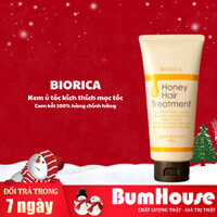 [HÀNG CTY] Kem ủ tóc Botanical Honey Hair Treatment BIORICA giảm gãy rụng và kích thích mọc tóc 180g