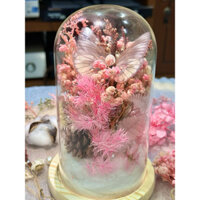 (Hàng đặt trước 5-7 ngày) Hoa khô chụp thuỷ tinh trang trí sẵn tone hồng trắng (tặng dây đèn LED)