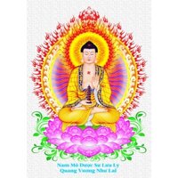 (HÀNG ĐẶT TRƯỚC) (chưa thêu) Tranh thêu chữ thập chỉ lụa phật dược sư Y325738