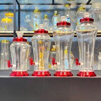 [HÀNG ĐẸP] 3L 4L 5L 6L Bình Thủy Tinh Ngâm Rượu , Ngâm Sâm Hàn Quốc (MÀU ĐỎ CHERRY)