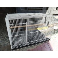 [HÀNG ĐẸP][FREESHIP EXTRA] 1 LỒNG CHỨA 60x40 (MÀU TRẮNG NAN DÀY) DÙNG NUÔI CHIM, YẾN PHỤNG VÀ CÁC DÒNG VẸT NHỎ, TRUNG