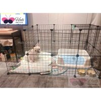 [HÀNG HOT] ❤️ CHUỒNG QUÂY CHÓ MÈO – MẪU HOT 2020, Sản Phẩm Bền Đẹp , Lắp Ghép, Di Chuyển Dễ Dàng.