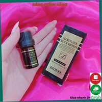 [HÀNG HOT]  🎀🎀Nước hoa vùng kín Dionel secret love 5ml