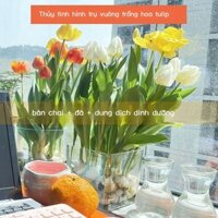 (HÀNG HOT) Thủy canh hoa tulip vuông lọ hoa thủy tinh hình trụ vuông dày trong suốt để bàn ban công