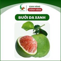 [HÀNG LOẠI 1] Bưởi da xanh ruột hồng hữu cơ organic tươi ngon, vị ngọt thanh, mọng nước