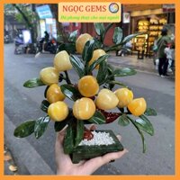 Hàng Mới- Cây Đào Tiên, Cây Đào Tài Lộc Ngọc Hoàng Long Tự Nhiên Để Trang Trí Nhà Cửa