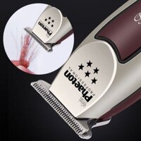 Hàng mơi có đèn led hiện thị pin -Tông chấn viền,bấm viền  phaeton 5 sao