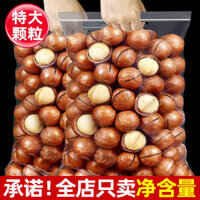 Hàng mới Macadamia vị kem hạt đồ ăn nhẹ số lượng lớn trái cây sấy khô đóng gói 500g trái cây mùa hè hạt lớn nguyên hộp 5 kg