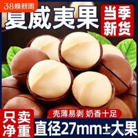 Hàng mới về, bơ hạt macadamia hương vị 500g, trái cây mùa hè, hạt khô, bán buôn theo trọng lượng, hàng hóa năm mới, đồ ăn nhẹ cho phụ nữ mang thai