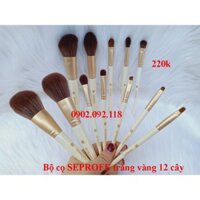 (hàng Mới Về) Set 12 Cọ Seprofe Trang Điểm Phấn Mắt Phấn Phủ Má Hồng Highlight