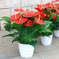 [HÀNG MỚI VỀ]Mô phỏng cây xanh hoa nhựa hoa giả hồng môn sàn chậu trang trí phòng khách shop trang trí văn phòng phòng