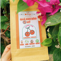 [HÀNG MỸ] Quả Anh Đào sấy khô 100g không đường, chua ngọt tự nhiên LIL' ORANGE- USA Dried Cherry