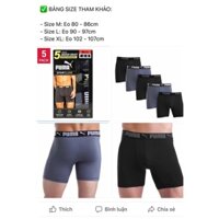 (Hàng Mỹ 🇺🇸) sẵn - set Quần lót nam Puma Addidas