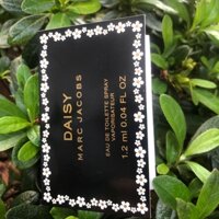 (Hàng Mỹ) Set nước hoa mini Mỹ cực thơm