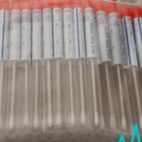 [Hàng Nhập Khẩu] Tăm Bông Lấy bệnh Phẩm Cán gỗ Vô Trùng Túi 100 Que
