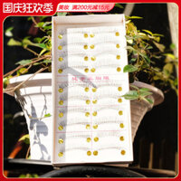 [Hàng nội địa Blue House] Three Trees False Eyelashes 217 Style Dàn nhựa trong suốt Hộp 10 đôi cây bấm mi