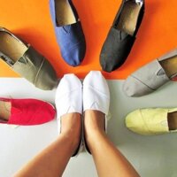 Hàng Order Trung quốc ~ 2 tuần - Mẫu giày TOMS Classic HOT nhất