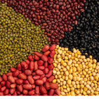 [Hằng Organic] 5 Loại Đậu, Lạc Hữu Cơ Hằng Organic 750gr